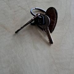 열쇠, iLost를 사용하여 Blauwnet Zwolle에 보고됨