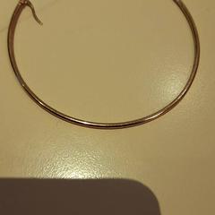 Orecchino, come riportato da Faculteit Geesteswetenschappen utilizzando iLost