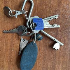 sleutelbos, come riportato a iLost