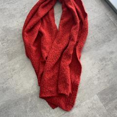 Shawl, as reported by Arriva Achterhoek-Rivierenland using iLost