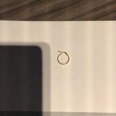 Brinco Goud; hoop, como reportado por Van der Valk Hotel Zwolle utilizando o iLost
