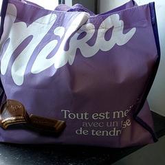 Sac - Shopper, a été signalé par Regio Oost-Vlaanderen utilisant iLost