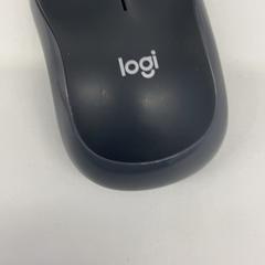 Rato, segundo informou HvA Amstelcampus usando iLost