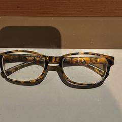 Ulleres, segons ha informat Van der Valk Hotel Deventer mitjançant iLost