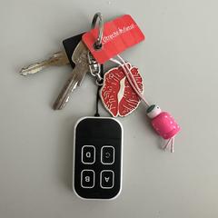 Sleutelbos met afstandsbediening がiLostに報告されました