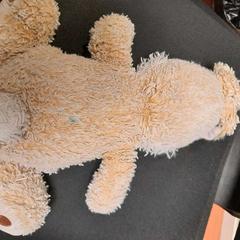 Manteta peluche lapin, segons ha informat TCL mitjançant iLost