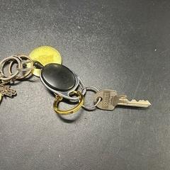 Kľúč, ako bolo nahlásené Regio Oost-Vlaanderen pomocou iLost