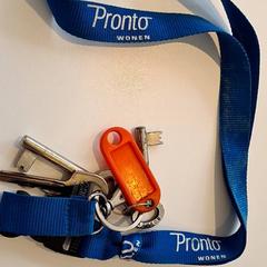 Sangle & Clés, a été signalé par Gemeente Baarn utilisant iLost