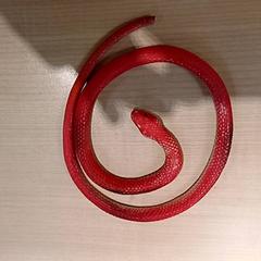 Gra dla dzieci, zgłoszono przez IKEA Toulouse przy użyciu iLost