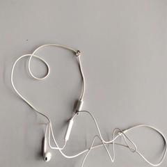 Earphone, as reported by Twisto using iLost