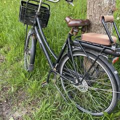 Zwarte damesfiets ebike met kinderzitje, as reported to iLost