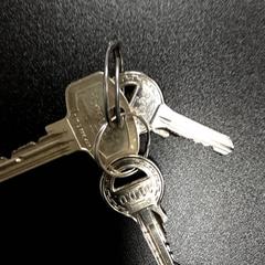 المفاتيح (متنوعة)، كما تم الإبلاغ عنه بواسطة Arriva Vechtdallijnen عبر iLost