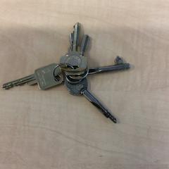 Key, as reported by Haaglanden Medisch Centrum using iLost