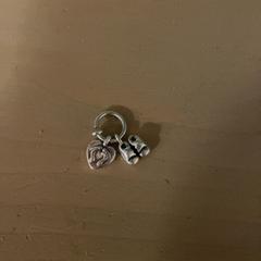 Halsband, rapporterat av Familie Resort Molenwaard med iLost