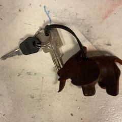 Nøkkel, som rapportert av Artis ved bruk av iLost