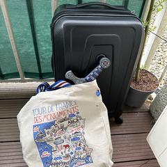 Rolkoffer met Franse souvenirs, jak bylo nahlášeno na iLost