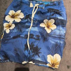 Shorts, as reported by Van der Valk Hotel Haarlem using iLost