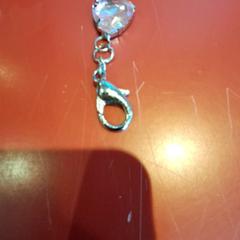 Keychain, as reported by Fjord Line – MS Stavangerfjord / Bergensfjord using iLost