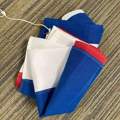 깃발 Nederlandse, iLost를 사용하여 Gemeente Ede에 보고됨