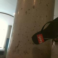 Sneaker, as reported by MEININGER Hotel Vienna Downtown Franz using iLost