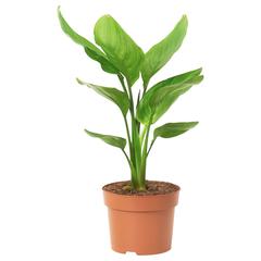 IKEA-product, zoals gemeld door IKEA 광명점 met iLost