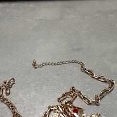 목걸이 Goud, iLost를 사용하여 Arriva Friesland / Groningen에 보고됨