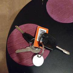 Sleutelbos /auto, ako bolo nahlásené iLost