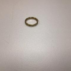 Bitxiak Goude ring, gisa salatu by HvA Amstelcampus iLost erabiliz