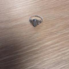 İLost kullanarak LUMC tarafından bildirildiği gibi Yüzük