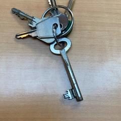 Portachiavi, come riportato da Gemeente Zutphen utilizzando iLost