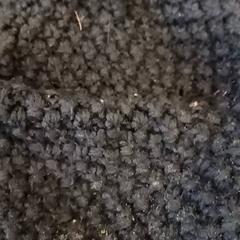 Beanie, as reported by Qbuzz GD Groningen HS using iLost