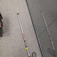 Walking stick, as reported by TCR Tours using iLost