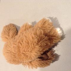 Knuffel, a été signalé par De Efteling utilisant iLost