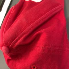 Pet, zoals gemeld door Eindhoven Airport met iLost