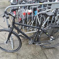 Herenfiets bike, zoals gemeld door Stadswerk072 met iLost