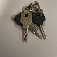 Giltza-giltza, gisa salatu by Arriva Limburg Noord iLost erabiliz