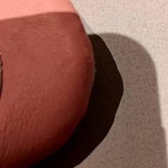 Bota, jak nahlášeno De Efteling pomocí iLost