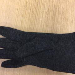 Rukavice, jak nahlášeno Canisius-Wilhelmina Ziekenhuis pomocí iLost