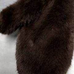 Glove Bruin, as reported by Arriva Friesland / Groningen using iLost