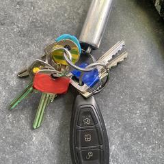 Sleutelbos a été signalé sur iLost