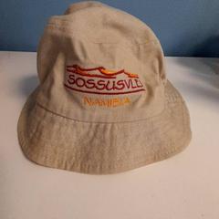 Hat Bruin, as reported by Dolfinarium using iLost