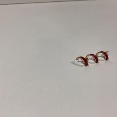 Náušnica Rood-271225 DISN1, ako bolo nahlásené Ziggo Dome pomocou iLost