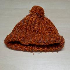 Muts, zoals gemeld door Arriva Oost-Brabant met iLost