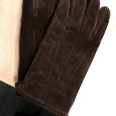 Luva Bruin, segundo informou Arriva Vechtdallijnen usando iLost