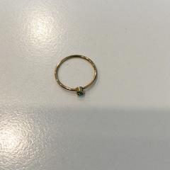 Anell, segons ha informat Gemeente Weert mitjançant iLost