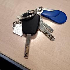 Kotxeko giltzak, gisa salatu by IKEA Grenoble iLost erabiliz