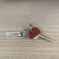 Keys, gerapporteerd met iLost