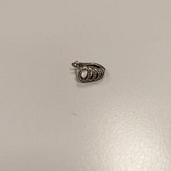 Ørering, som rapportert av Vrije Universiteit Amsterdam ved bruk av iLost