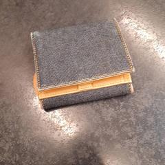 Carteira, segundo informou Rotterdam The Hague Airport usando iLost