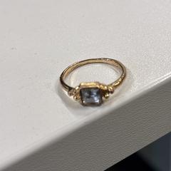 Ring Amsterdam, gerapporteerd met iLost